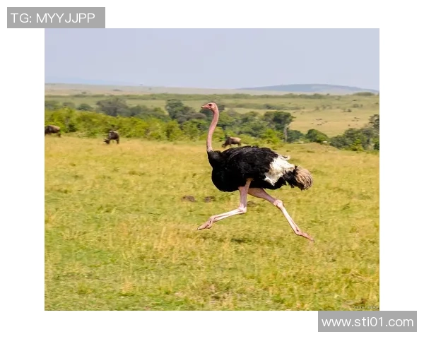 足球明星瘸腿背后的故事与励志人生揭秘